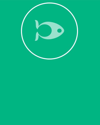 Omega_3